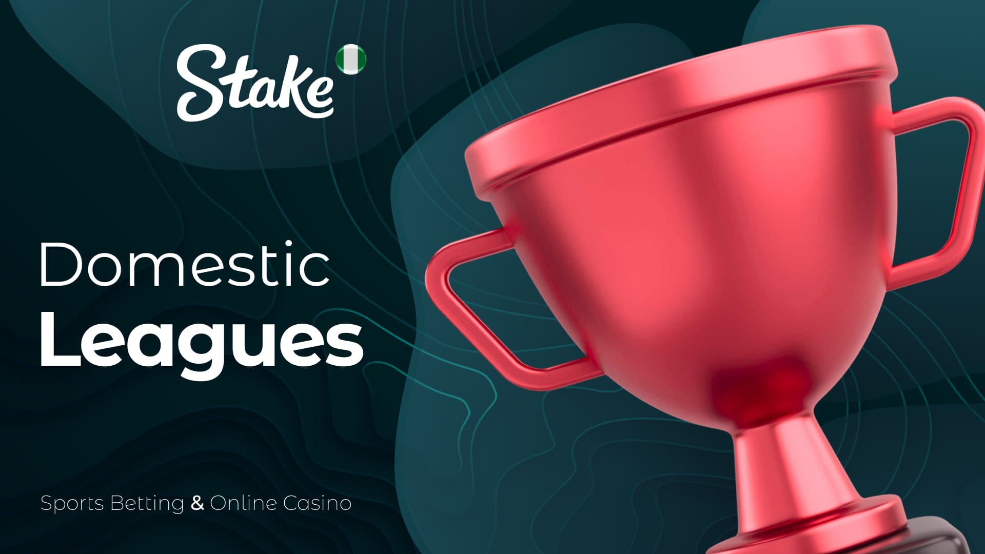 Stake Nigeria Cricket sports betting: local leagues for players: features and general information