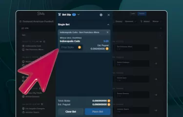 Stake Nigeria Football sports betting: A detailed guide with simple steps on how to place your sports bet 3