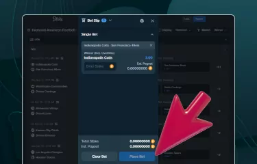 Stake Nigeria Football sports betting: A detailed guide with simple steps on how to place your sports bet 4